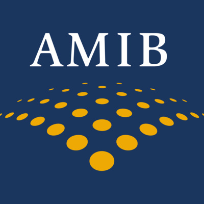 ASOCIACIÓN MEXICANA DE INSTITUCIONES BURSÁTILES (AMIB)