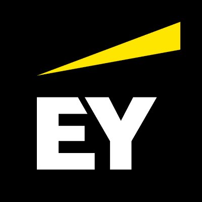 ERNST & YOUNG E&Y 
