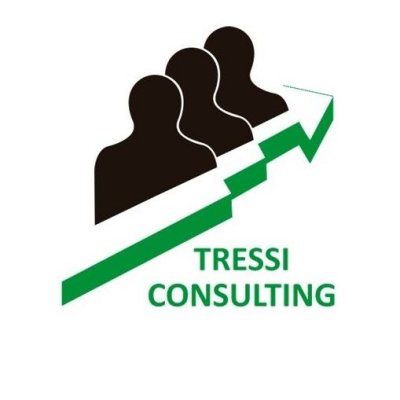 TRESSI CONSULTING GROUP 